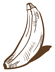 Image showing Sketch banana, vector color illustration.