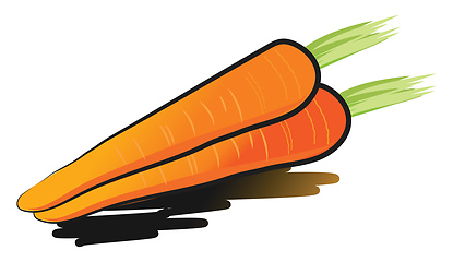 Image showing Carrot with green leaf vector or color illustration