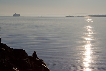 Image showing Seaside solitude