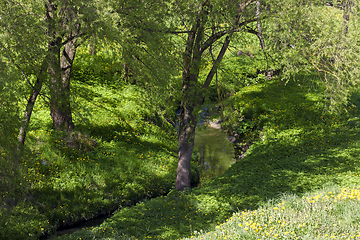 Image showing small river