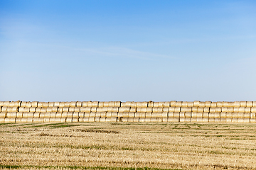 Image showing straw after harvest