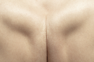 Image showing Texture of human skin. Close up of well-kept caucasian human body