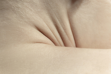 Image showing Texture of human skin. Close up of well-kept caucasian human body