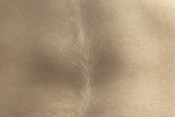 Image showing Texture of human skin. Close up of well-kept caucasian human body