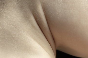 Image showing Texture of human skin. Close up of well-kept caucasian human body