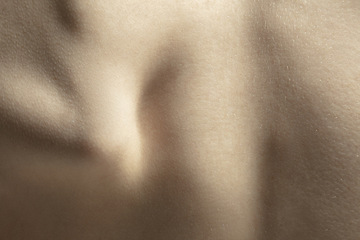 Image showing Texture of human skin. Close up of well-kept caucasian human body