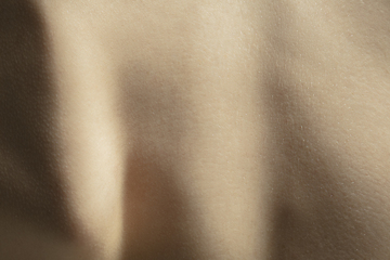 Image showing Texture of human skin. Close up of well-kept caucasian human body