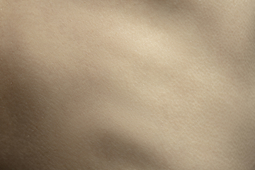 Image showing Texture of human skin. Close up of well-kept caucasian human body