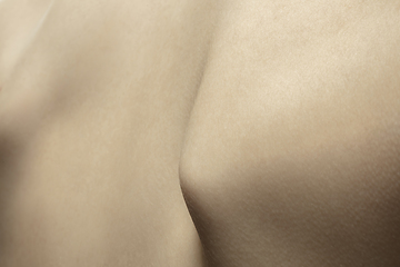 Image showing Texture of human skin. Close up of well-kept caucasian human body