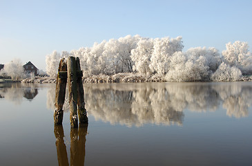 Image showing Hoarfrost