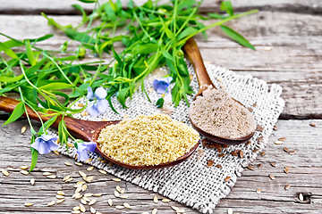 Image showing Bran and flour flaxseed in two spoons on board