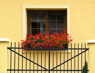 Image showing Window of stone building decorated of red geranium flowers