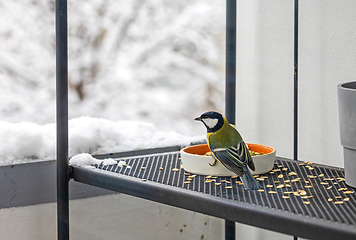 Image showing bird feeder with tit