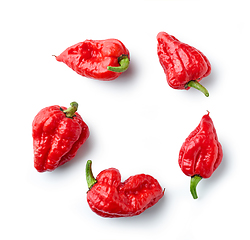 Image showing hot red ghost peppers