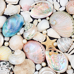 Image showing Abstract Seashell and Pearl Background Composition