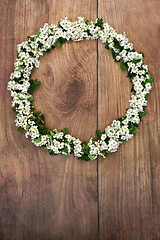 Image showing Spring Hawthorn Blossom Flower Wreath