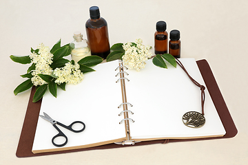 Image showing Elderflower Herb Used in Natural Herbal Medicine