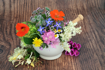 Image showing Flowers and Herbs for Natural Plant Based Herbal Remedies