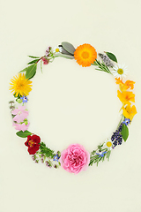 Image showing Summer Wreath of Naturopathic Herbs and Flowers