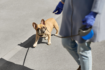 Image showing woman with french bulldog dog walking in city