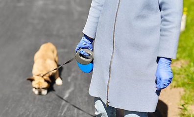 Image showing woman in medical gloves with dog walking in city