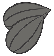 Image showing Clipart of two sunflower seeds vector or color illustration