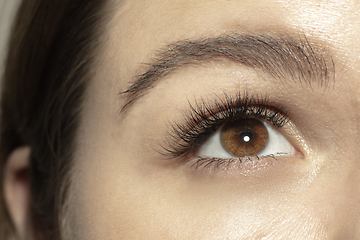 Image showing Close up of face of beautiful caucasian young woman, focus on eyes