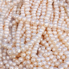 Image showing Pearl beads