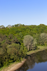 Image showing tree near the river