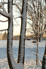 Image showing Snow drifts in winter