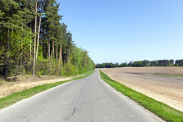 Image showing Forest road