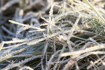 Image showing Winter time of the year, photo