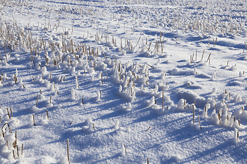 Image showing Snow drifts in winter