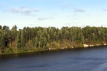 Image showing Trees near the river,