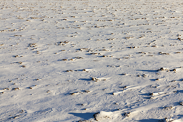 Image showing land covered with snow