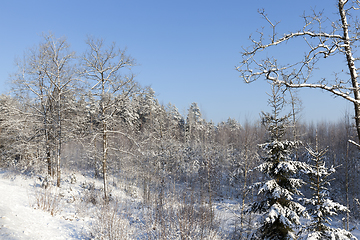 Image showing Winter time