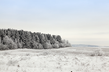 Image showing Snow drifts