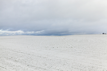 Image showing Snow drifts in winter