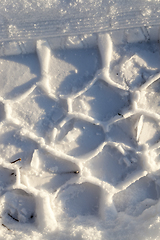 Image showing cells in the snow