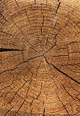 Image showing Wood texture