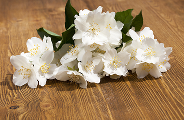 Image showing dirty flowers of jasmine