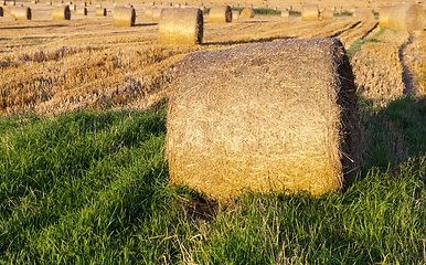 Image showing Straw stacks