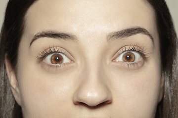 Image showing Close up of face of beautiful caucasian young woman, focus on eyes