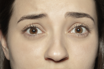 Image showing Close up of face of beautiful caucasian young woman, focus on eyes