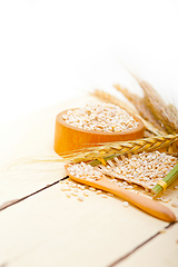 Image showing organic barley grains