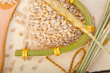 Image showing organic barley grains