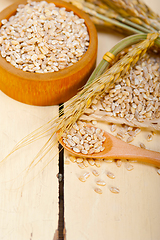 Image showing organic barley grains