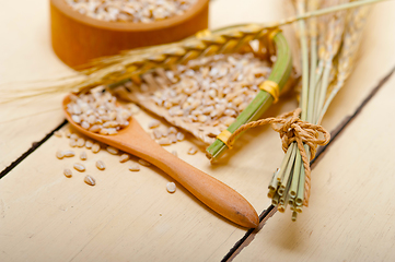 Image showing organic wheat grains