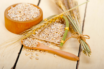 Image showing organic wheat grains