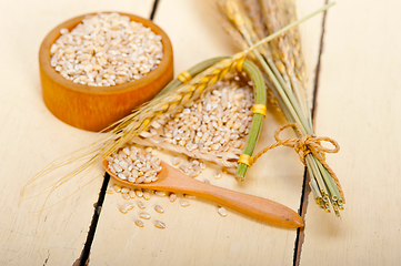 Image showing organic wheat grains